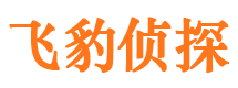 团城山市调查取证